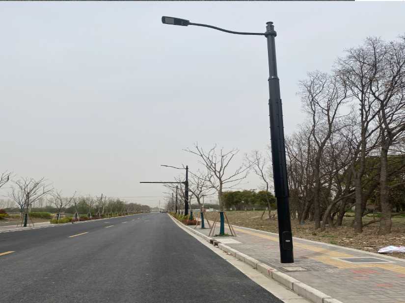 青秀区上海综合杆 太阳能路灯工程
